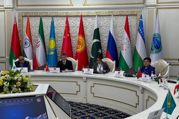 В повестке широкий круг тем, включая профилактику неинфекционных заболеваний, укрепление кадрового потенциала отрасли, модернизацию медицинской инфраструктуры, а также цифровизацию здравоохранения и внедрение инновационных технологий - Sputnik Кыргызстан