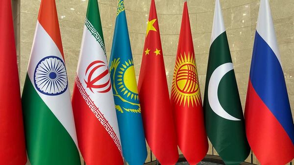 ШКУга мүчө мамлекеттердин саламаттык сактоо министрлеринин IX жыйыны - Sputnik Кыргызстан