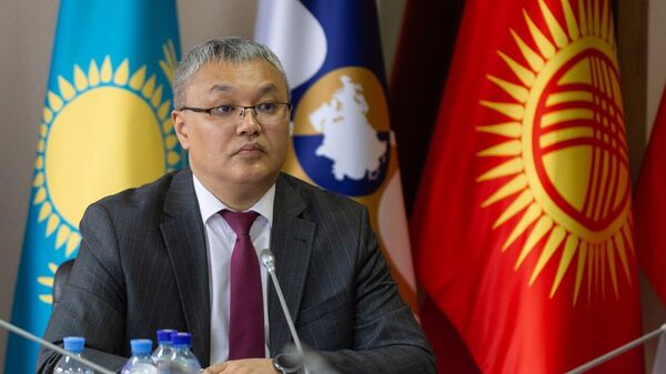 Евразия экономикалык комиссиясынын интеграция жана макроэкономика боюнча министри Данияр Иманалиев - Sputnik Кыргызстан