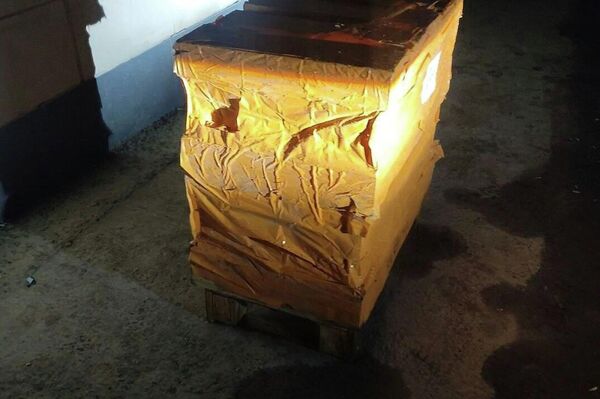 В Бишкеке наркоборцы выявили канал незаконного оборота психотропных веществ и прекурсоров - Sputnik Кыргызстан