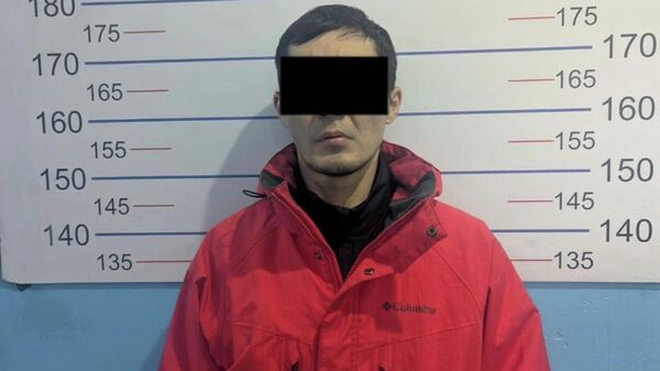 Кытайдан Кыргызстанга психотроптук зат жана прекурсор ташып, сатууну көздөгөн киши кармалды  - Sputnik Кыргызстан