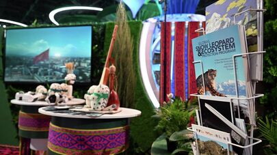 Региональный экологический саммит в Астане