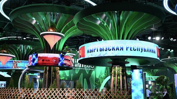 Региональный экологический саммит в Астане - Sputnik Кыргызстан