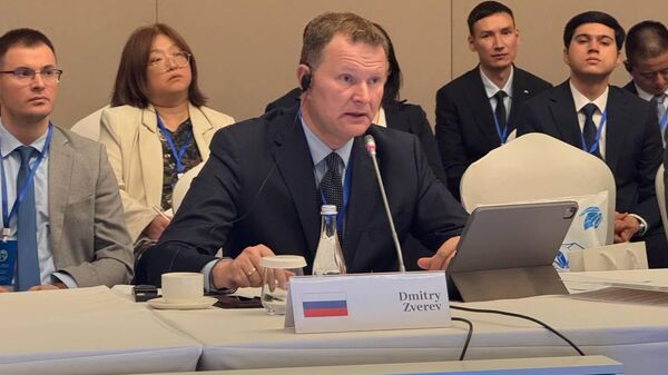 Россиянын транспорт министринин орун басары Дмитрий Зверев  - Sputnik Кыргызстан