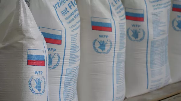Более 18 тыс нуждающихся кыргызстанцев получили помощь от России — видео - Sputnik Кыргызстан