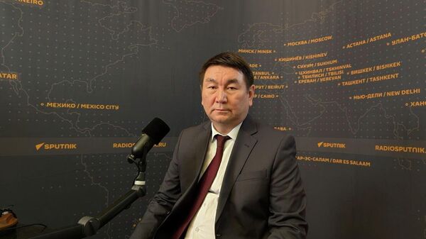 ЕЭКтин Монополияны жөнгө салуу департаментинин жетекчисинин орун басары Бакытбек Исаев  - Sputnik Кыргызстан