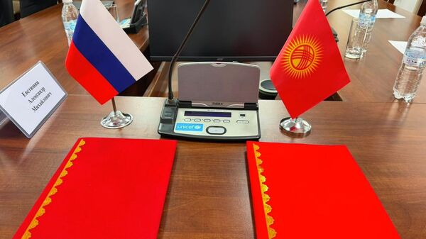 Кыргызстан менен Россиянын саламаттык сактоо министрлери Москвада жолугушту. Архив - Sputnik Кыргызстан