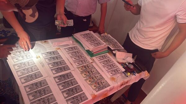 Алты миң долларлык пара - Sputnik Кыргызстан