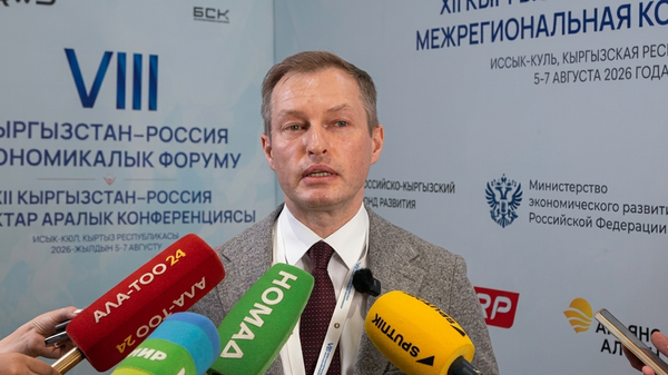 Член правления Российско-Кыргызского фонда развития Вадим Смирнов - Sputnik Кыргызстан