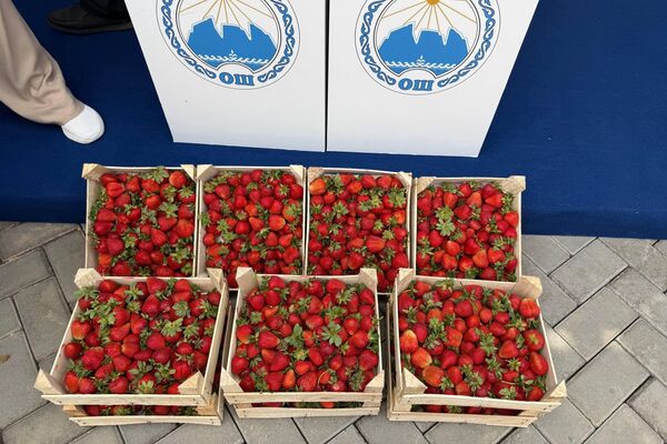Также здесь выставлена сельскохозяйственная продукция - Sputnik Кыргызстан