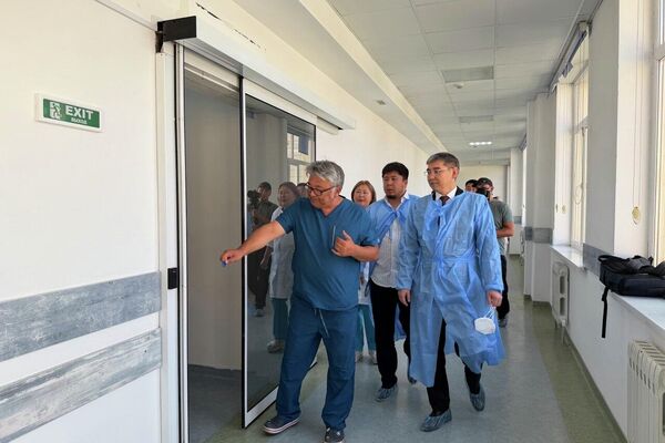 Кыргызстанда сөөк чучугун трансплантациялоого шарт түзүлүүдө Кыргызстанда сөөк чучугун трансплантациялоого шарт түзүлүүдө - Sputnik Кыргызстан