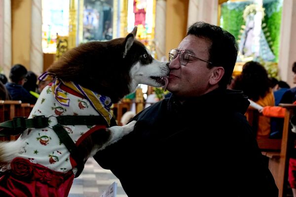 Католический священник во время мессы в приходе Гран-Подер в честь праздника Сан-Роке, покровителя собак, в Ла-Пасе (Боливия) - Sputnik Кыргызстан