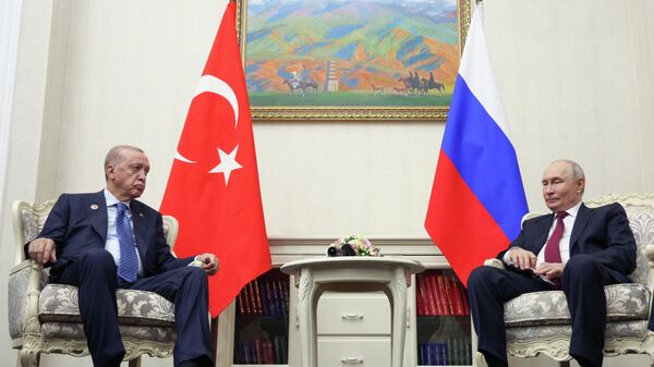 Президент Владимир Путин встретился с президентом Турции Реджепом Тайипом Эрдоганом - Sputnik Кыргызстан