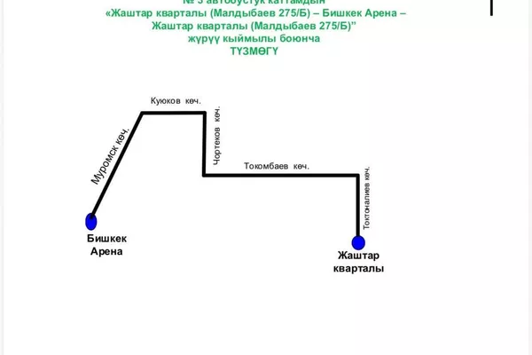 На концерт в &quot;Бишкек Арене&quot;, который пройдет сегодня, запустят 250 шаттл-басов - Sputnik Кыргызстан