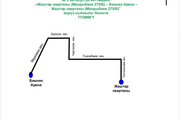 “Бишкек Арена” стадионунда өтө турган концертке карата 250 шаттл-автобус ишке чыгат - Sputnik Кыргызстан