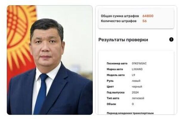Скриншот страницы госпортала Tolom.kg - Sputnik Кыргызстан
