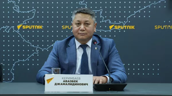 Вице-президент Торгово-промышленной палаты КР Авазбек Керимбаев - Sputnik Кыргызстан