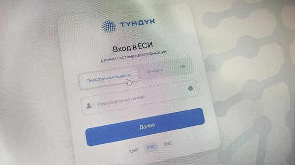 Страница входа в Единую систему идентификации на портале Тундук - Sputnik Кыргызстан
