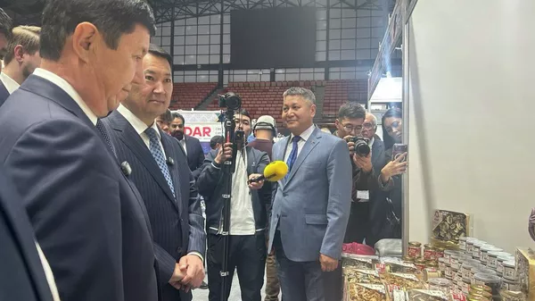 В Бишкеке проходят международные выставки — KYRGYZSTAN EXPO и EXPO EURASIA KYRGYZSTAN - Sputnik Кыргызстан