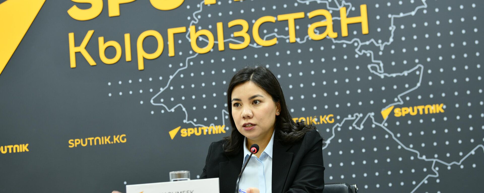 Заведующая сектором развития интеграции управления координации ЕАЭС Министерства экономики и коммерции Салтанат Касымбек кызы. - Sputnik Кыргызстан, 1920, 16.10.2026