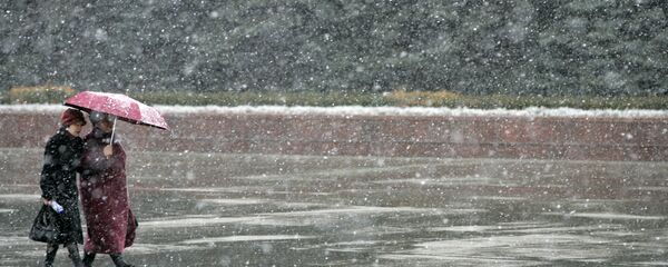 Во время снегопада. Архивное фото - Sputnik Кыргызстан