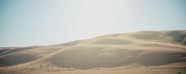 Жайлоодогу жылкылар. Архив - Sputnik Кыргызстан