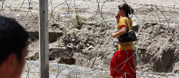 Чек ара сүйлөшүүсү боюнча нотага Өзбекстан жооп бере элек - Sputnik Кыргызстан