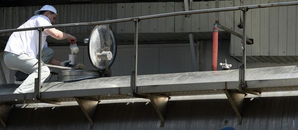 Архив: сүт азыктары - Sputnik Кыргызстан