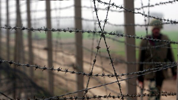 Пограничник на границе. Аривнео фото - Sputnik Кыргызстан