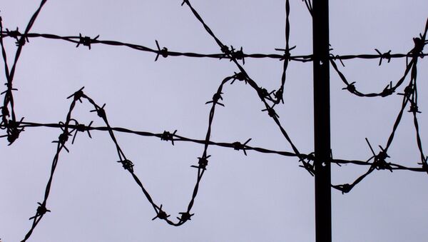 Колючая проволока на границе. Архивное фото - Sputnik Кыргызстан