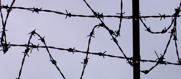 Зым менен оролгон чек ара жайы. Архив - Sputnik Кыргызстан