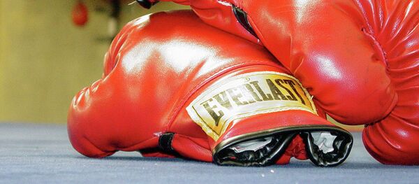 Боксерские перчатки. Архивное фото - Sputnik Кыргызстан