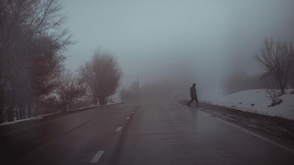 Архивное фото мужчины, который переходит трассу Бишкек - Ош во время тумана - Sputnik Кыргызстан