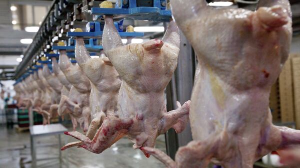 Архив: птицефабрика - Sputnik Кыргызстан