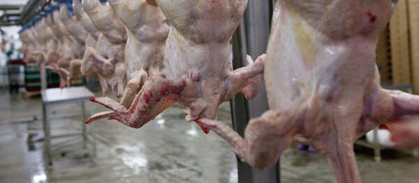 В цехе разделки мяса птицы. Архивное фото - Sputnik Кыргызстан