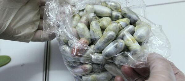 Работа экспертного центра. Архивное фото - Sputnik Кыргызстан