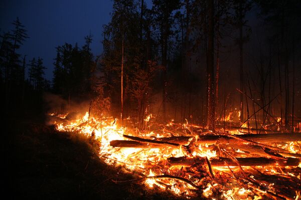 Архив: тушение лесных пожаров - Sputnik Кыргызстан