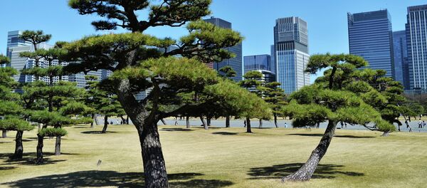 Архив: города мира. Токио - Sputnik Кыргызстан