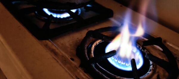 Газ плитасы. Архив - Sputnik Кыргызстан