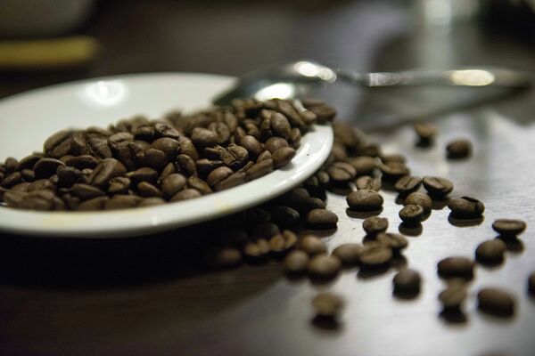 Конкурс на лучший капучино в Бишкеке Конкурс на лучший капучино в Бишкеке - Sputnik Кыргызстан