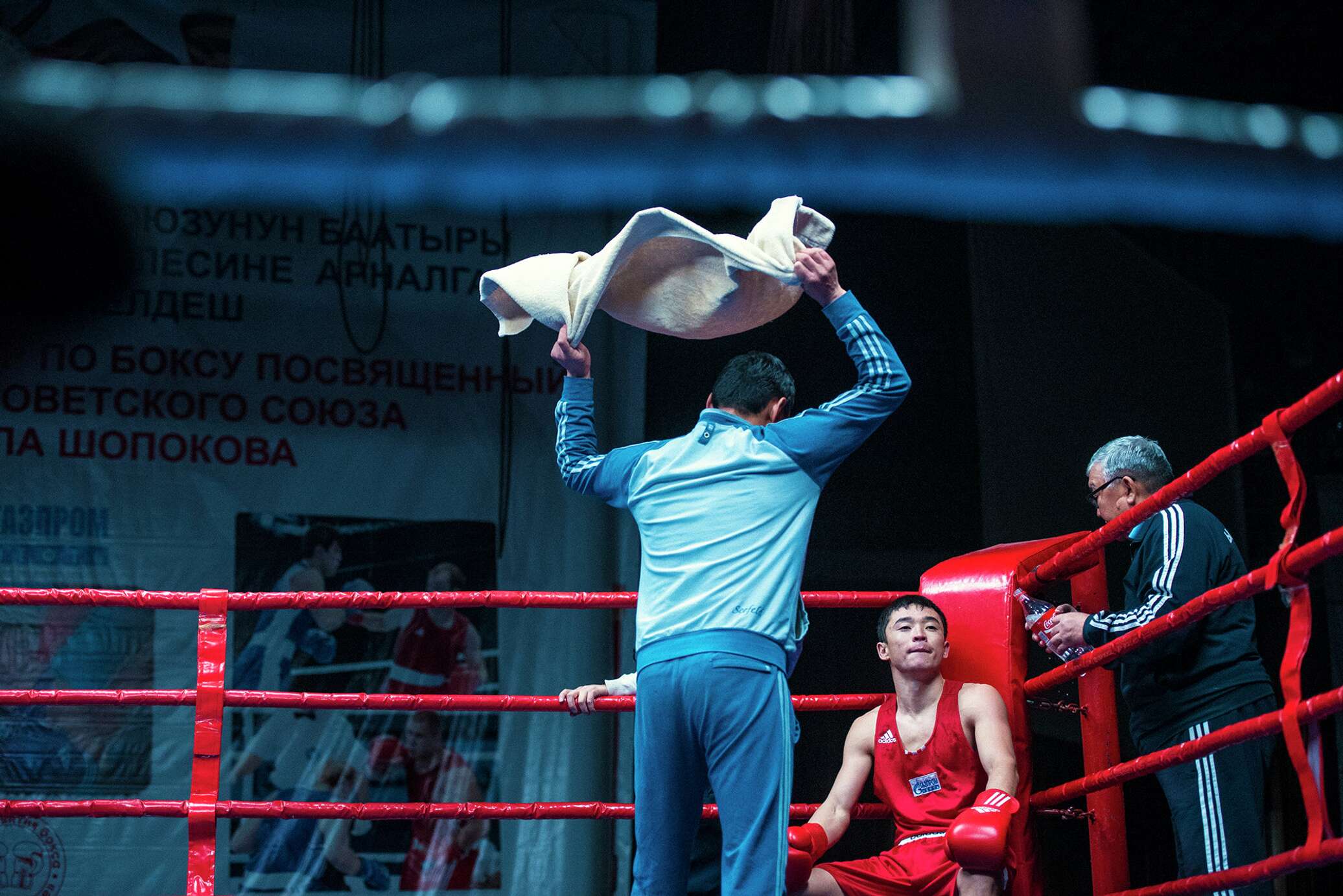 Боксер во дворе. Кыргызстанские боксеры. Боксер кр. Шопоков бокс. Чемпионы по боксу Дуйшенкул Шопоков 2000- года.