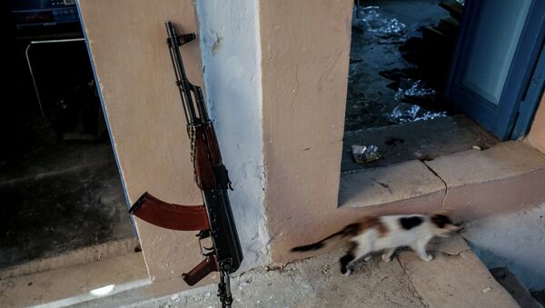 РИАнын атайын кабарчысы Сирияда жихадды өз көзү менен көрдү - Sputnik Кыргызстан