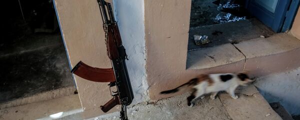 Тамга жөлөнгөн автомат. Архив - Sputnik Кыргызстан