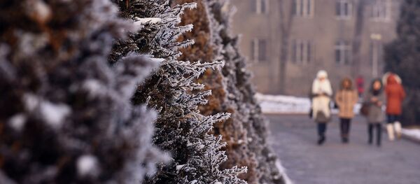 Бишкек шаары. Архив Бишкек шаары. Архив - Sputnik Кыргызстан