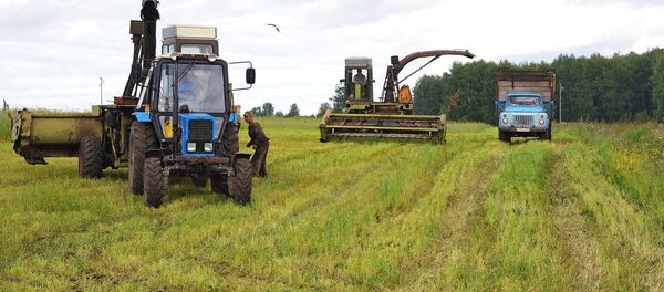 Айыл чарба. Архив. - Sputnik Кыргызстан