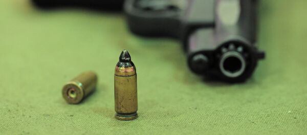 Патрон с пистолетом. Архивное фото - Sputnik Кыргызстан