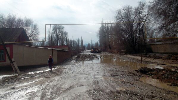 Бакай-Атанын бир нече айылдарын суу каптап жатат - Sputnik Кыргызстан