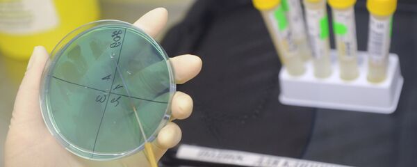 Работа лаборатории. Архив. Работа лаборатории. Архив. - Sputnik Кыргызстан