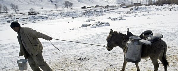 Сельский быт Кыргызстана - Sputnik Кыргызстан