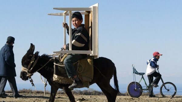 Мальчик везет стол верхом на осле. Архивное фото - Sputnik Кыргызстан